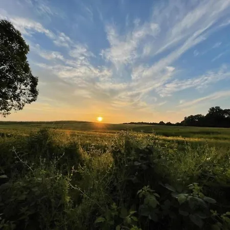 Idyllischer An Der Ostseekueste Reddelich