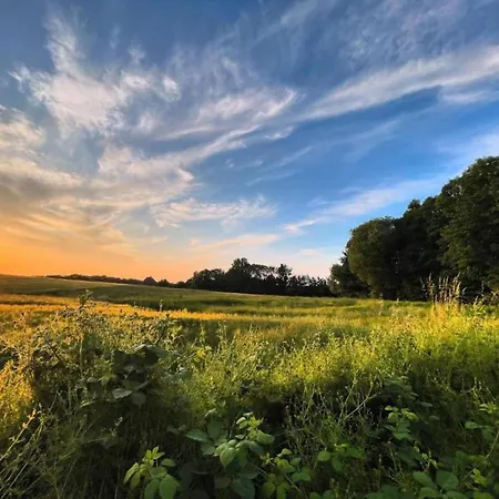 Idyllischer An Der Ostseekueste Reddelich