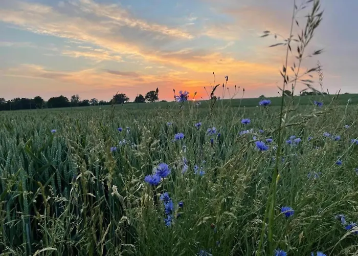 Idyllischer An Der Ostseekueste *